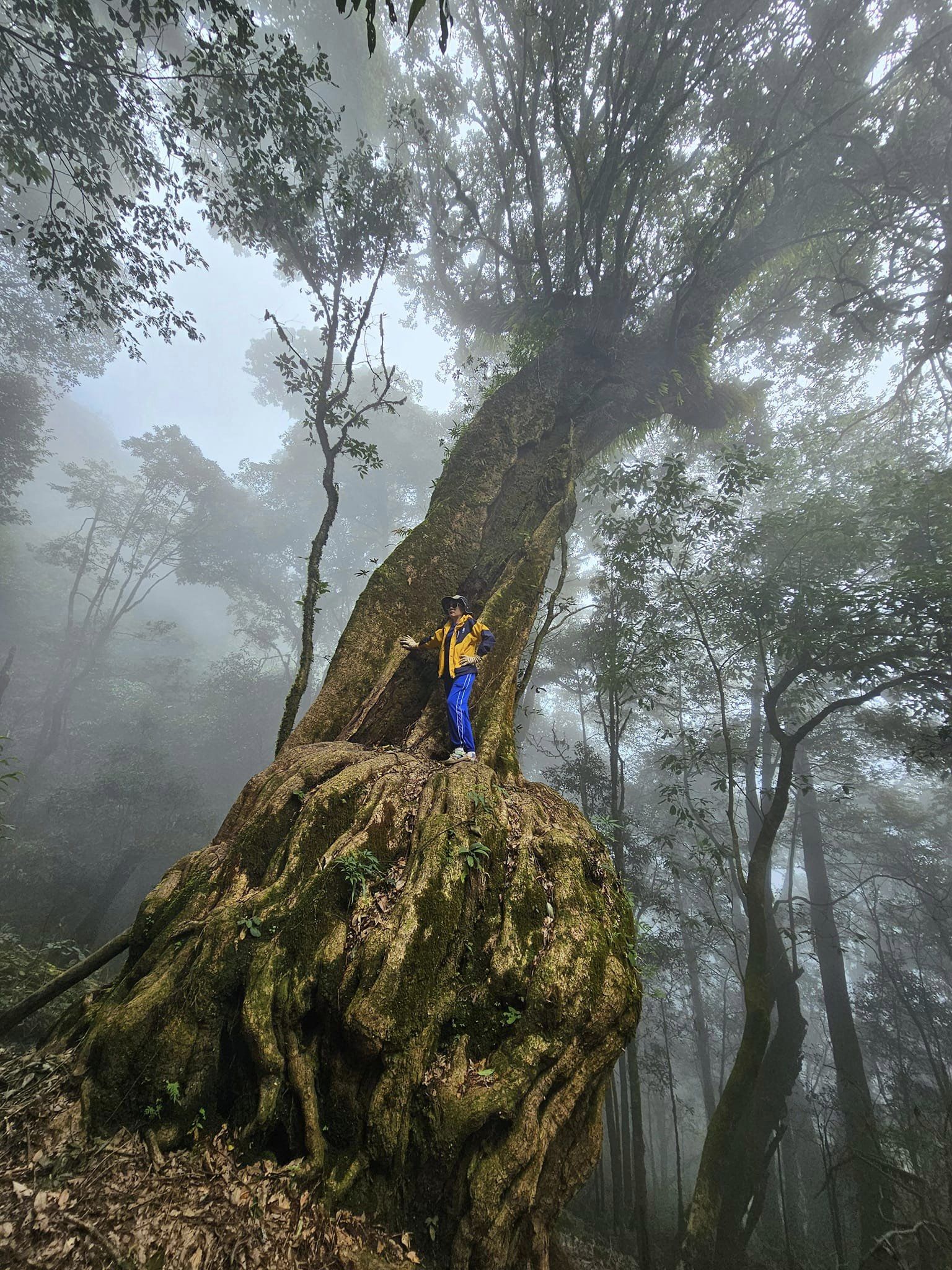 Hiking in Quang Binh Ha Giang's Bac Ha Tour 10 Days